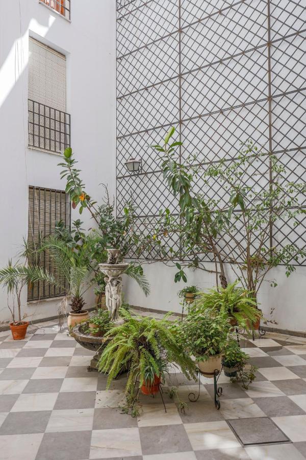 Fantastico Duplex 2 Terrazas 3 Habitaciones 2 Banos Seville Exterior photo
